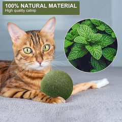 Cat Mint Toy Ball - MeraPopi