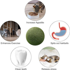 Cat Mint Toy Ball - MeraPopi