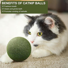 Cat Mint Toy Ball - MeraPopi