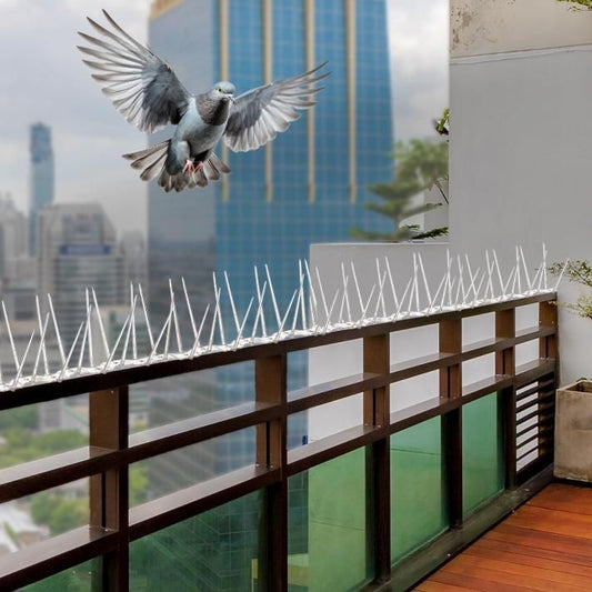 Pigeon Control Spikes (Set of 10) - MeraPopi