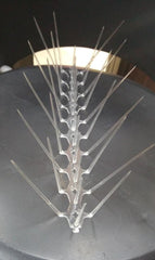 Pigeon Control Spikes (Set of 10) - MeraPopi