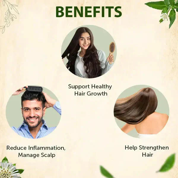 🌿 Jamalgota Ayurvedic Hair Growth Powder Buy 1 Get 1 Free🌿 - MeraPopi