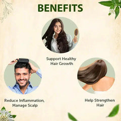 🌿 Jamalgota Ayurvedic Hair Growth Powder Buy 1 Get 1 Free🌿 - MeraPopi