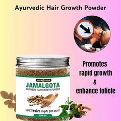 🌿 Jamalgota Ayurvedic Hair Growth Powder Buy 1 Get 1 Free🌿 - MeraPopi