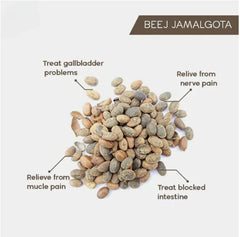 🌿 Jamalgota Ayurvedic Hair Growth Powder Buy 1 Get 1 Free🌿 - MeraPopi
