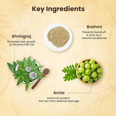 🌿 Jamalgota Ayurvedic Hair Growth Powder Buy 1 Get 1 Free🌿 - MeraPopi