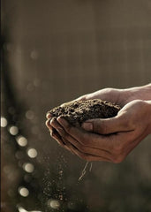 Organic Vermicompost 500gm - MeraPopi