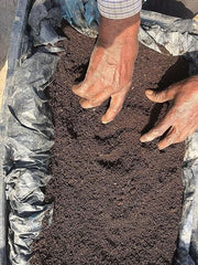 Organic Vermicompost 500gm - MeraPopi