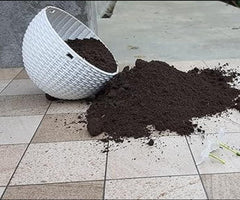 Organic Vermicompost 500gm - MeraPopi